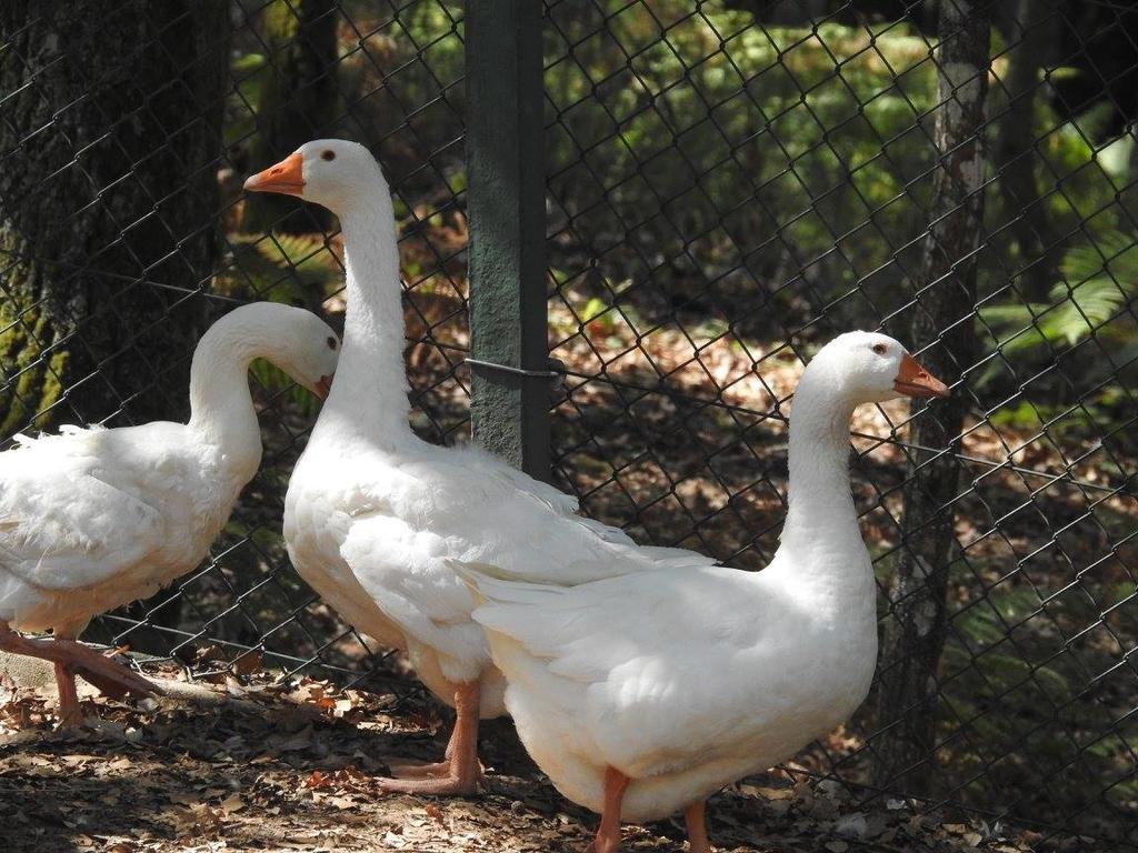 Encosta Dos Tuneis - Turismo E Lazer Sever do Vouga Esterno foto